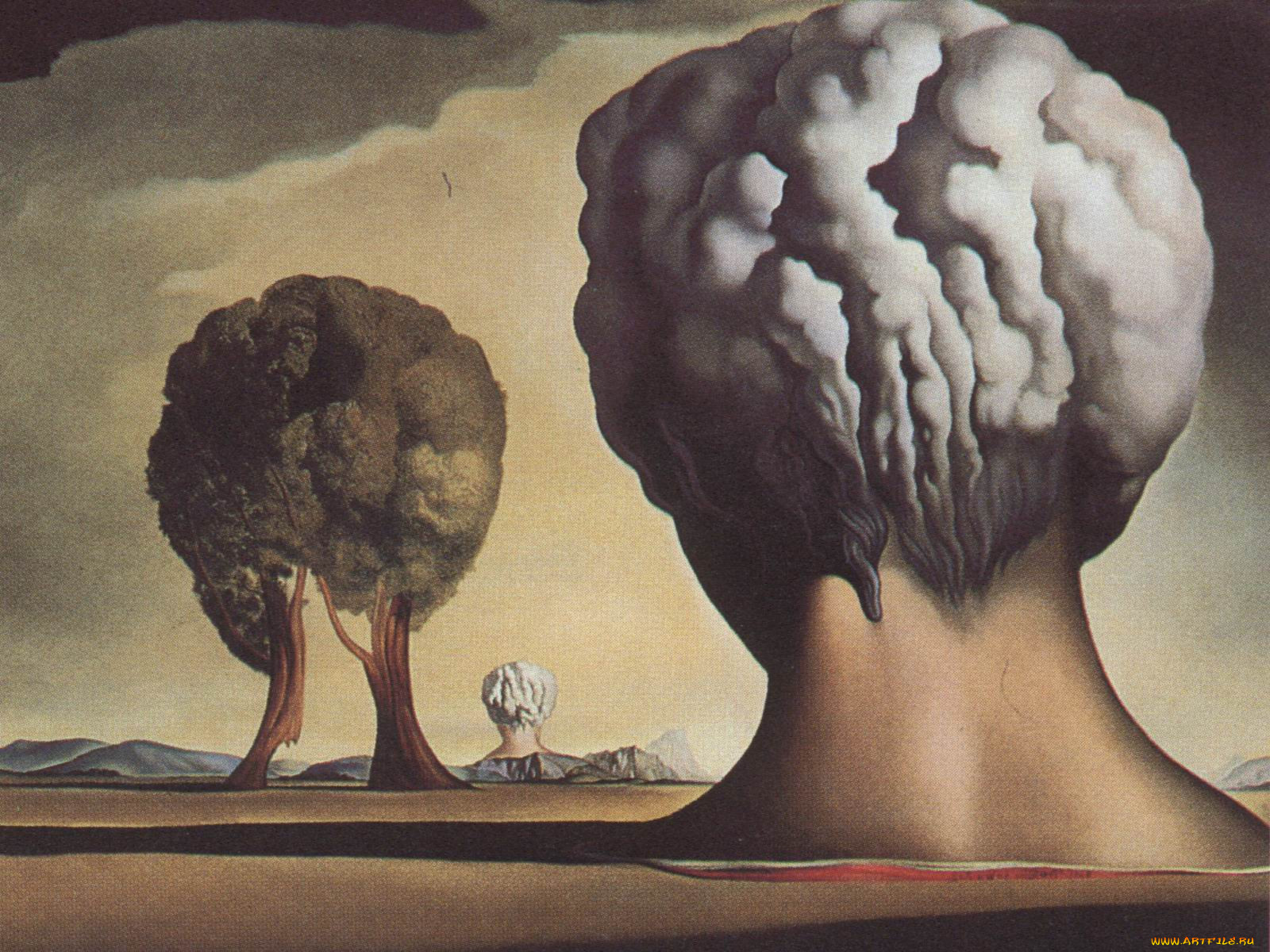 , , , salvador, dali